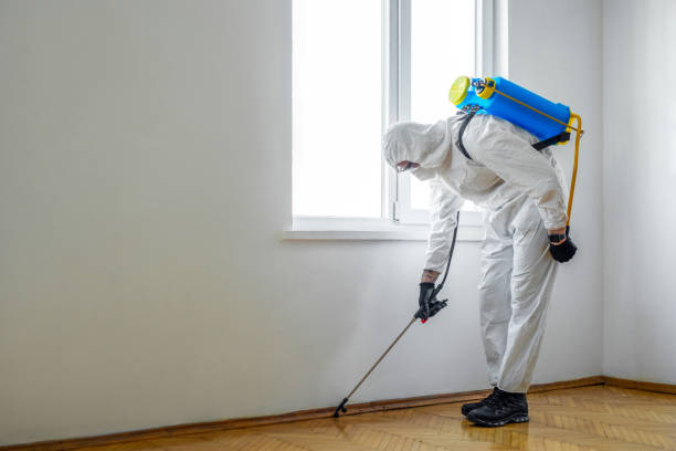Best Local Pest Control Services  in Norristown, PA